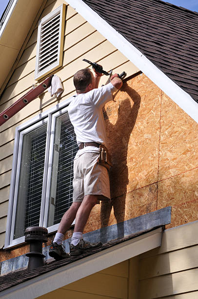Best Yard Waste Removal  in Celebration, FL